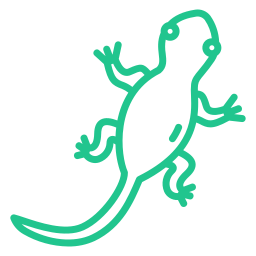 Lizard Icon