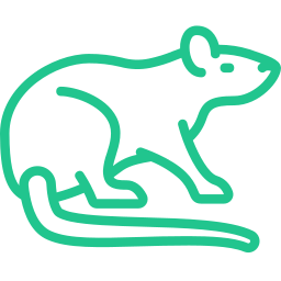 rodent Icon